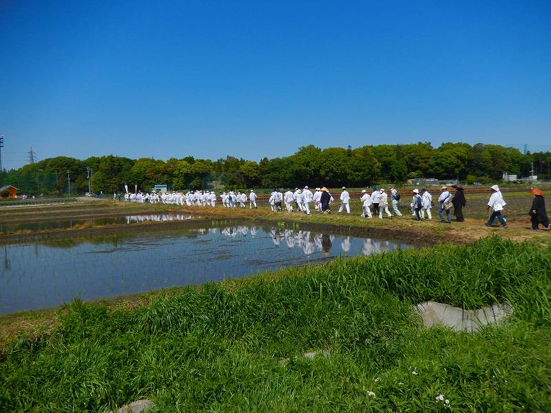 Image1028.jpg (101087 バイト)