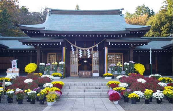 wpe1.jpg (35621 �o�C�g)