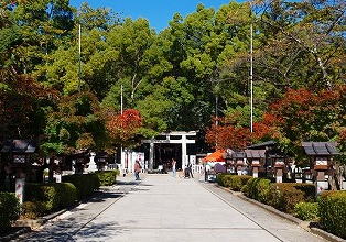 Image833.jpg (31310 �o�C�g)